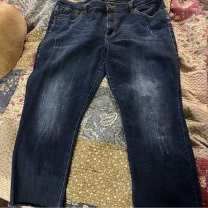 Cabi style 3561 high straight